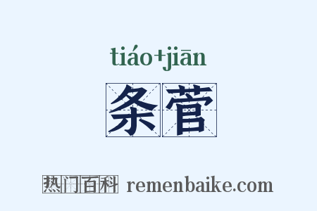 条菅是什么意思的图片